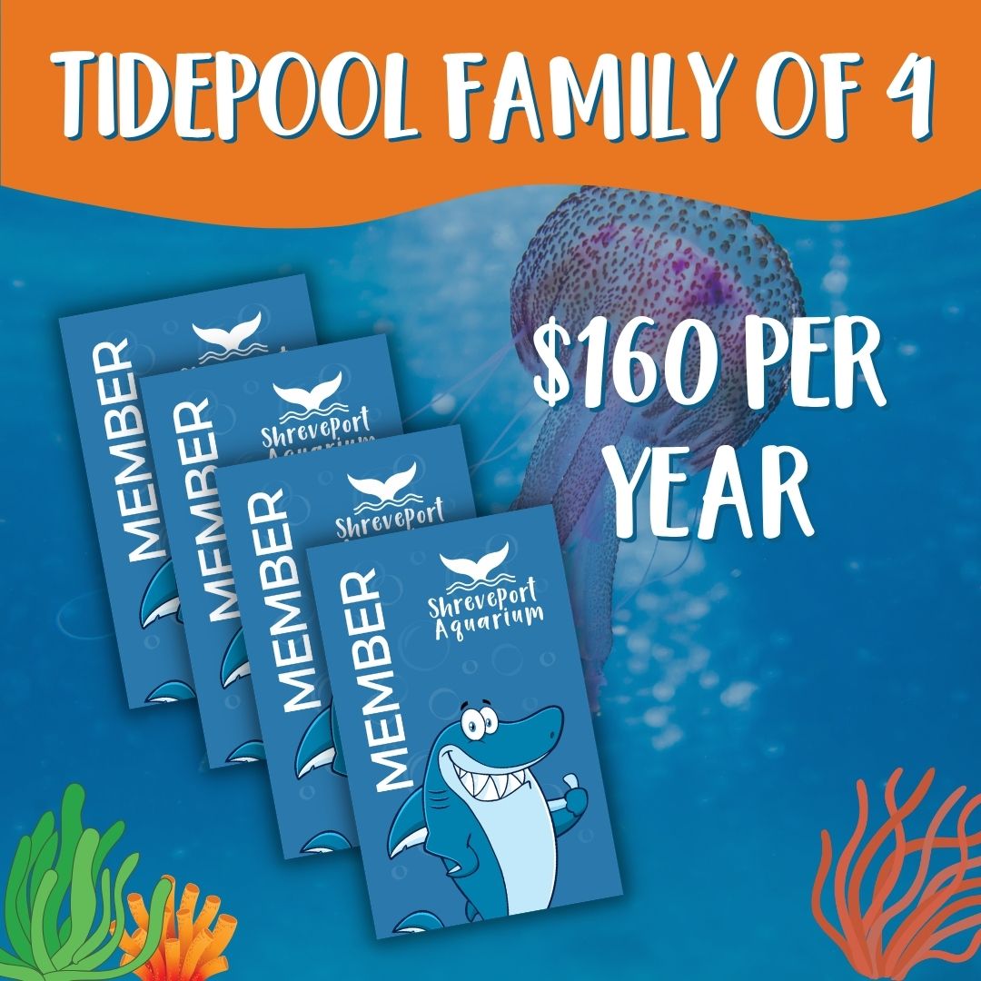 Web Tidepool Family Membership