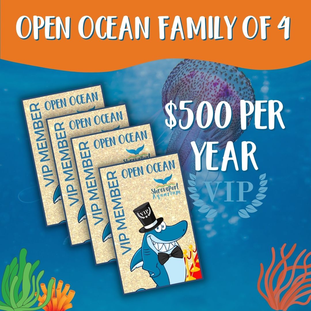 Web Open Ocean Family Membersh