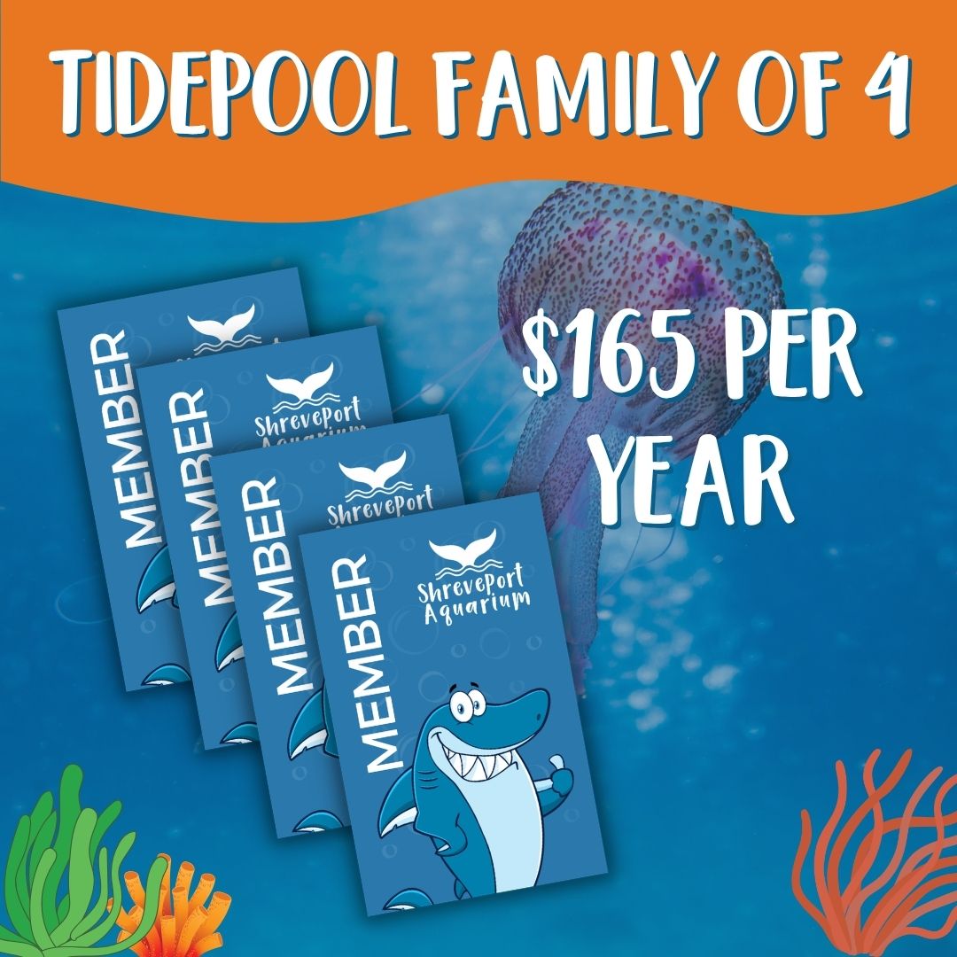 Web Tidepool Family Membership