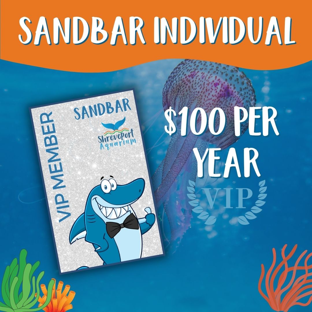Web Sandbar Individual Member